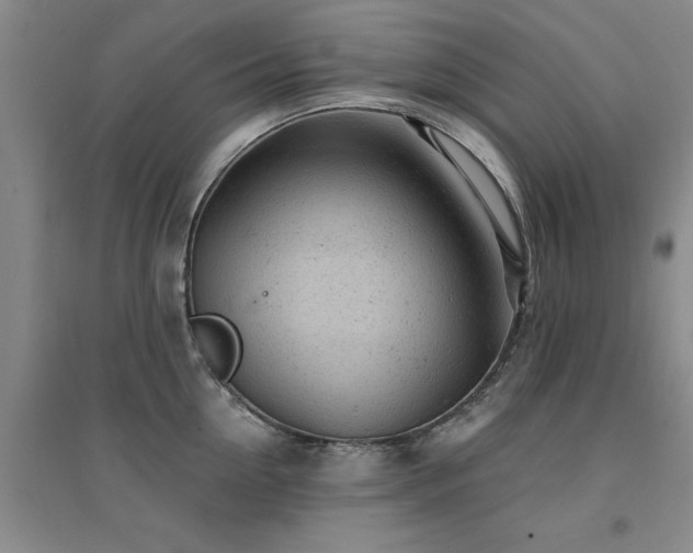 X0000094440954200711081245