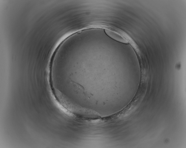 X0000094440955200711081245