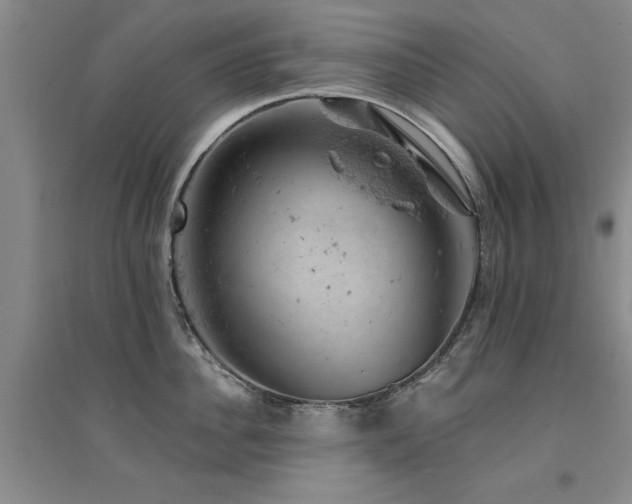 X0000094440956200711081245