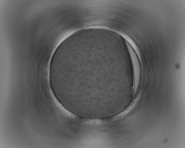 X0000094440957200711081245