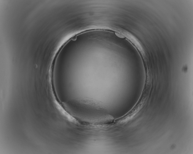 X0000094440958200711081246