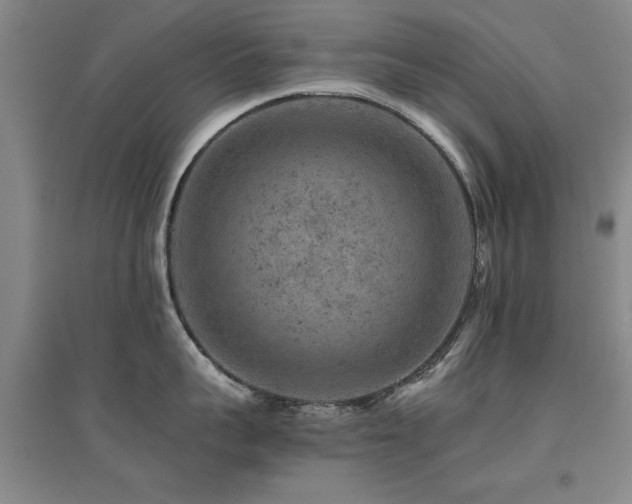 X0000094440959200711081246