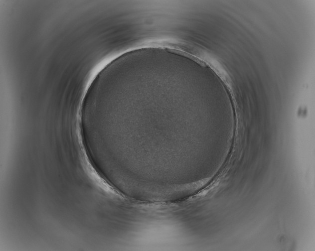 X0000094440960200711081246