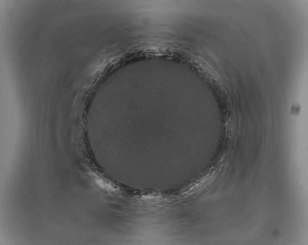 X0000094440961200711081245