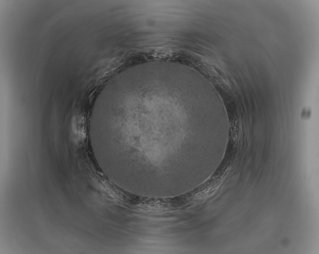 X0000094440962200711081245