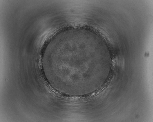 X0000094440963200711081245