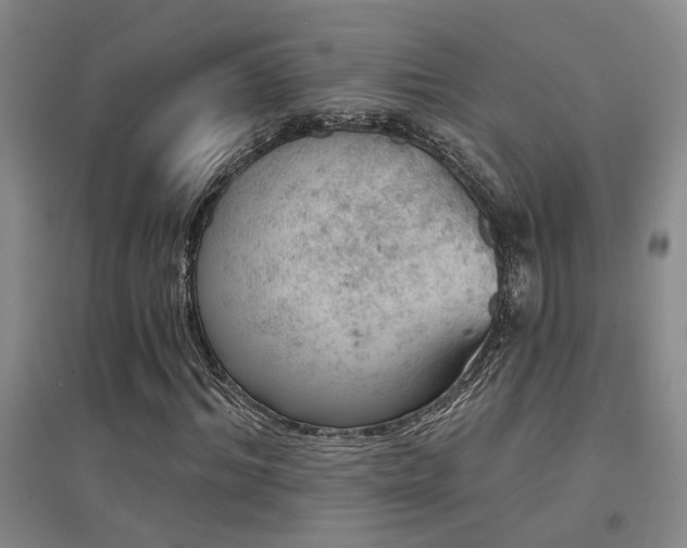 X0000094440964200711081245