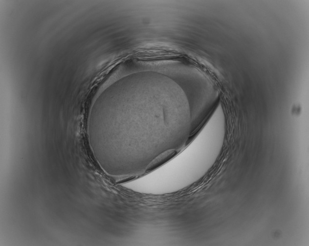 X0000094440965200711081245