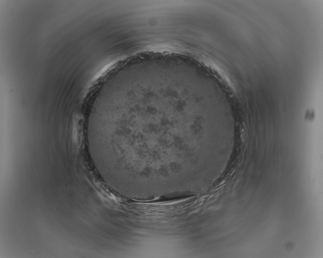 X0000094440968200711081245