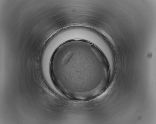 X0000094440969200711081245
