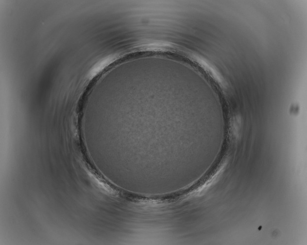 X0000094440970200711081245