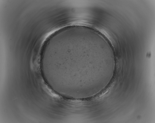 X0000094440971200711081245