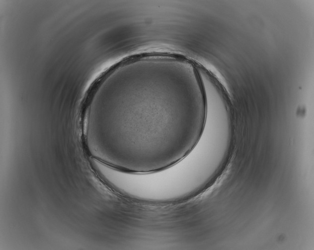 X0000094440973200711081245