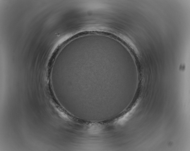 X0000094440974200711081245