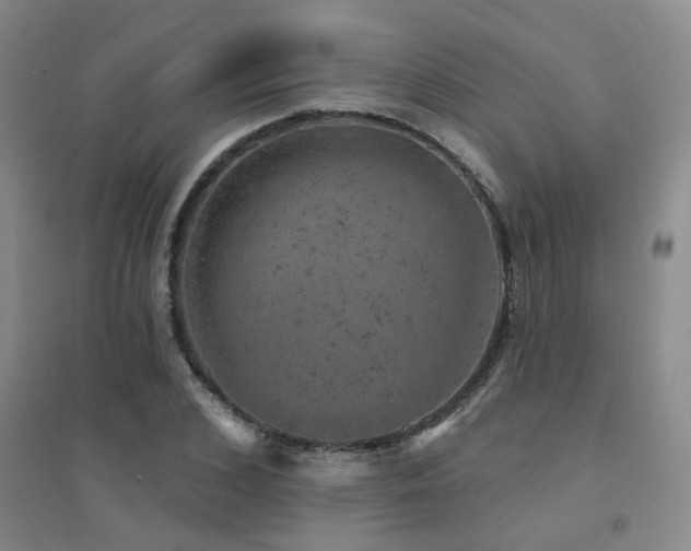 X0000094440976200711081244