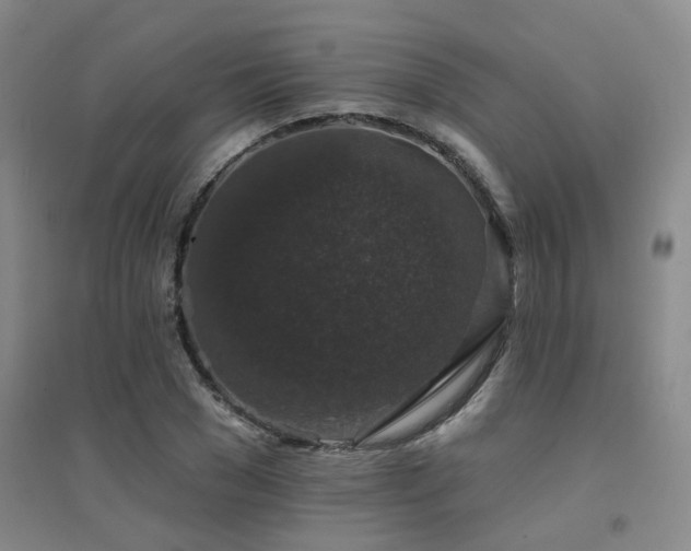 X0000094440977200711081244