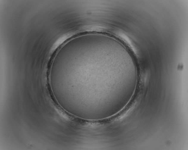 X0000094440978200711081244