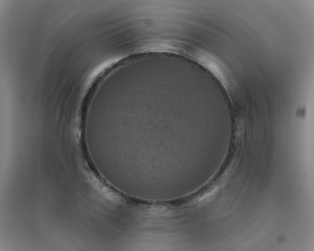 X0000094440979200711081244