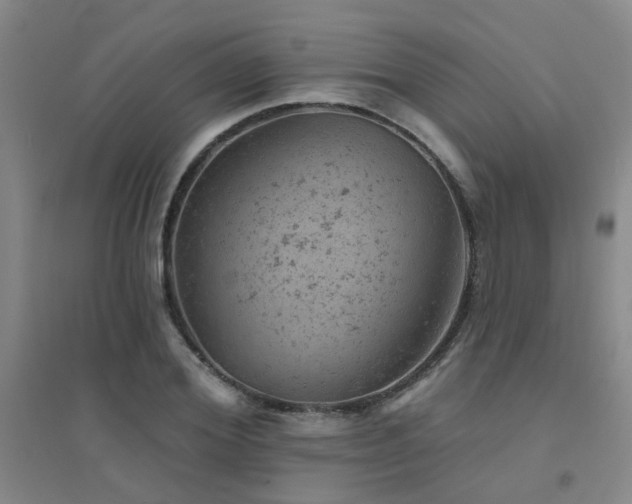 X0000094440980200711081244