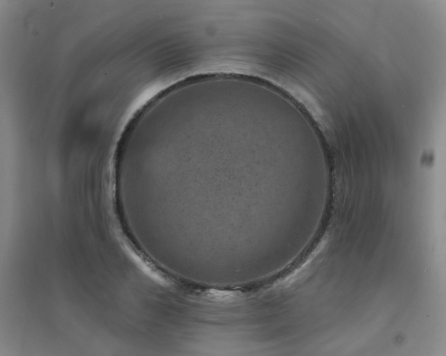 X0000094440982200711081244