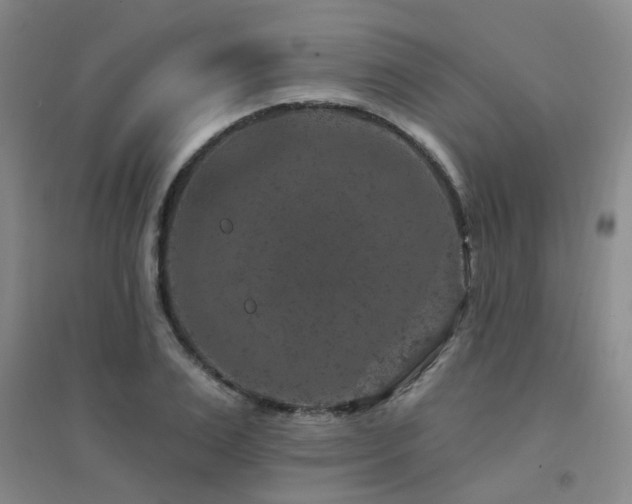 X0000094440983200711081244