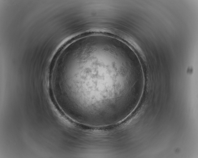 X0000094440984200711081244