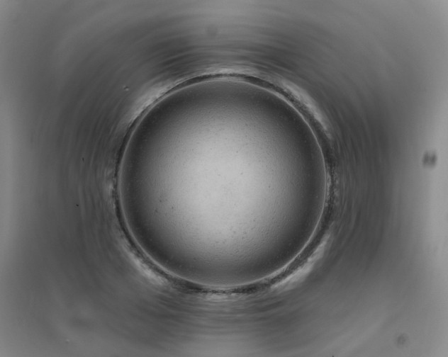 X0000094440985200711081244