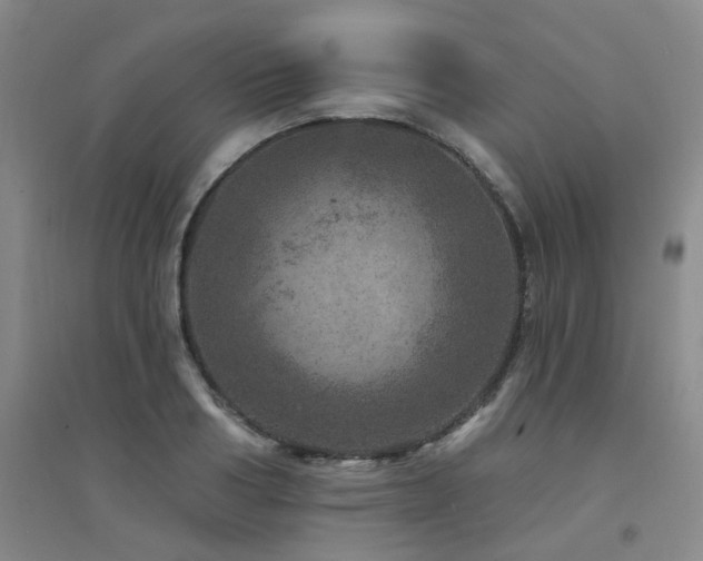 X0000094440986200711081244