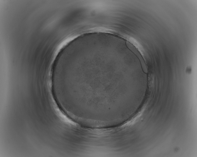 X0000094440987200711081244