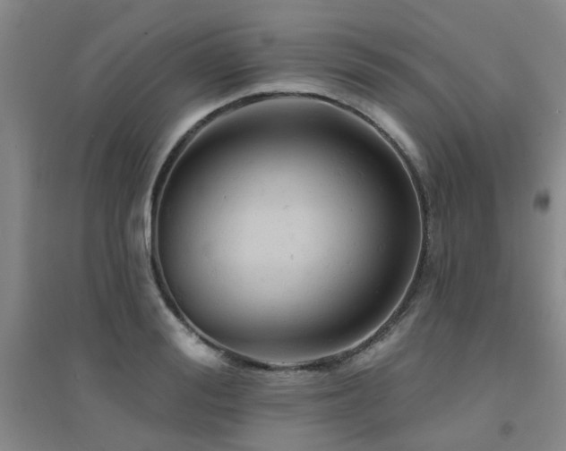 X0000094440988200711081244