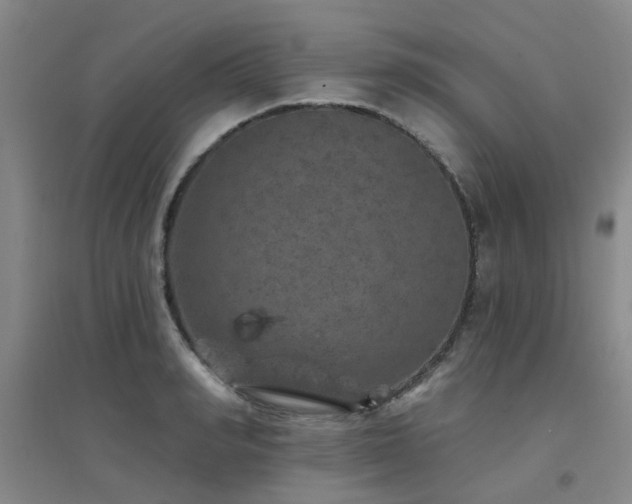 X0000094440990200711081244