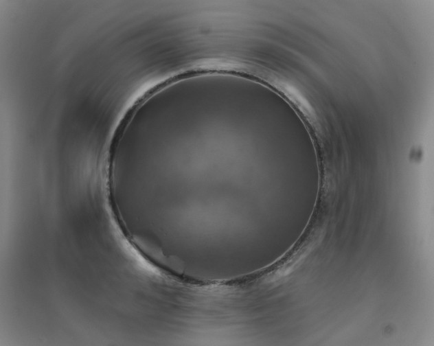 X0000094440992200711081244