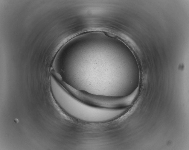 X0000094440993200711081244