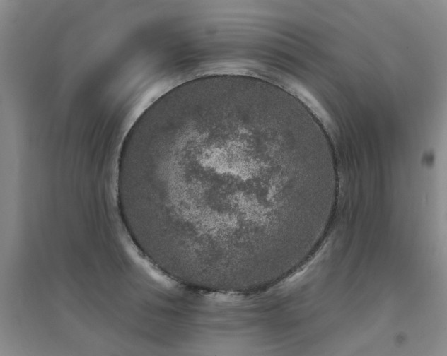 X0000094440994200711081244