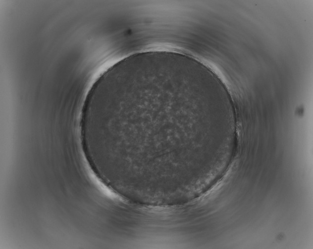 X0000094440995200711081244