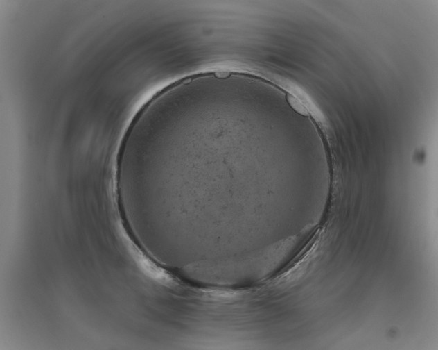 X0000094440996200711081244