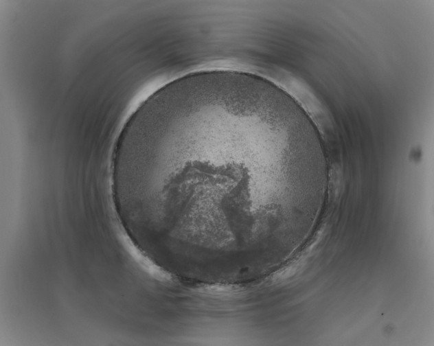 X0000094440998200711081244