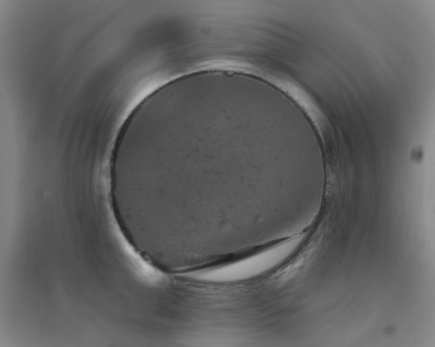 X0000094440999200711081244