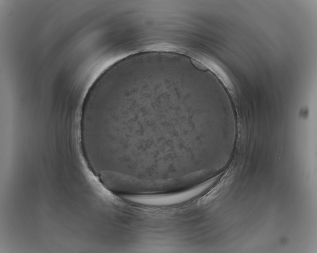 X0000094441000200711081244