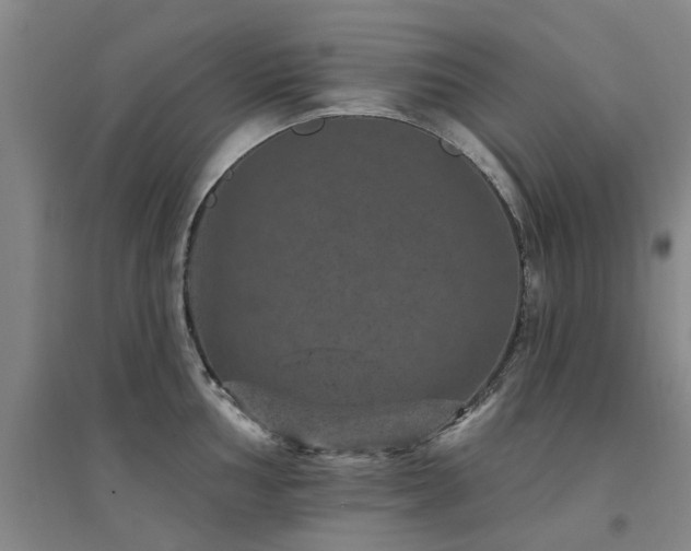 X0000094441002200711081244