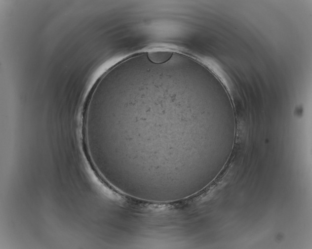 X0000094441003200711081244