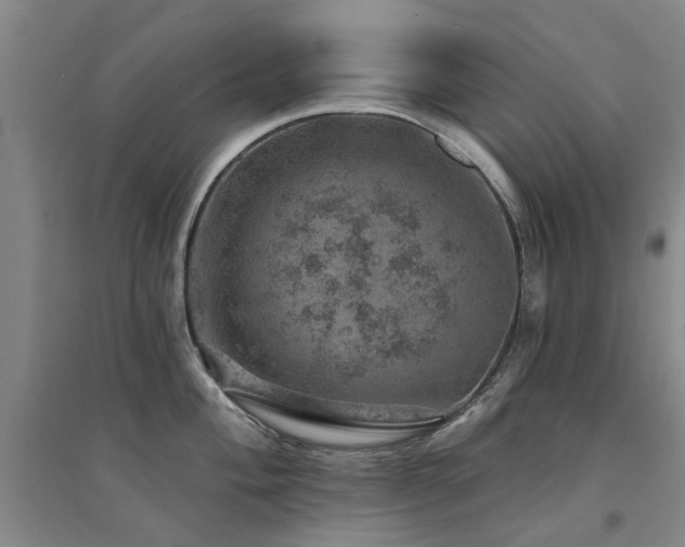 X0000094441004200711081244