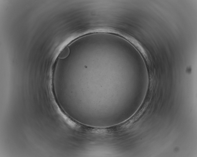 X0000094441006200711081244
