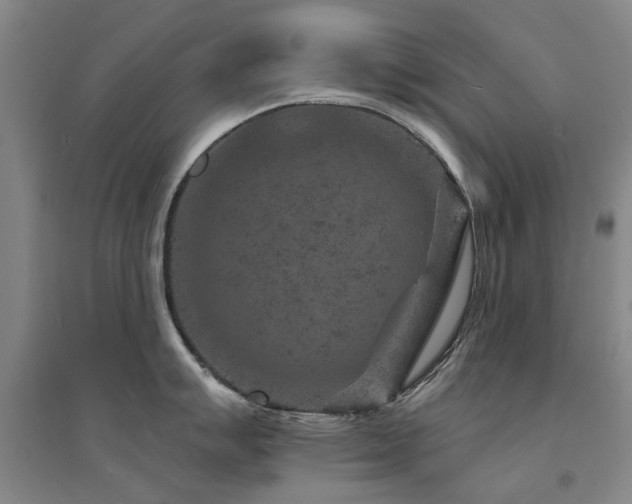 X0000094441007200711081244