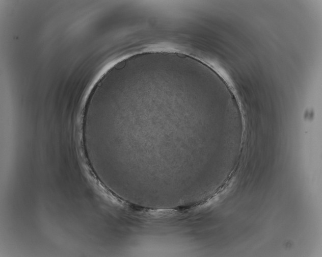 X0000094441008200711081244