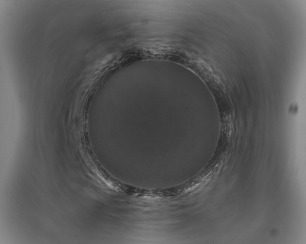 X0000094441009200711081243
