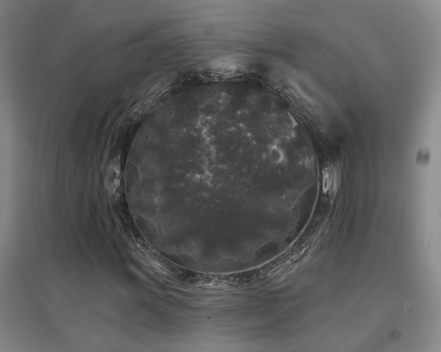 X0000094441011200711081243