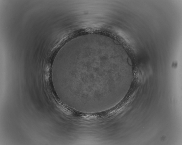 X0000094441012200711081243