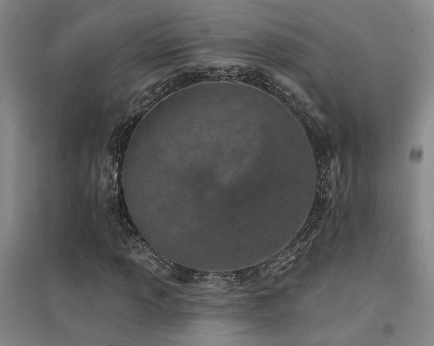 X0000094441013200711081243