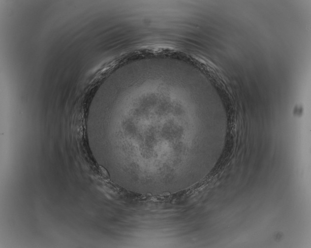X0000094441014200711081243